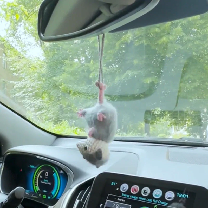 Possum Car Charm - Image 8