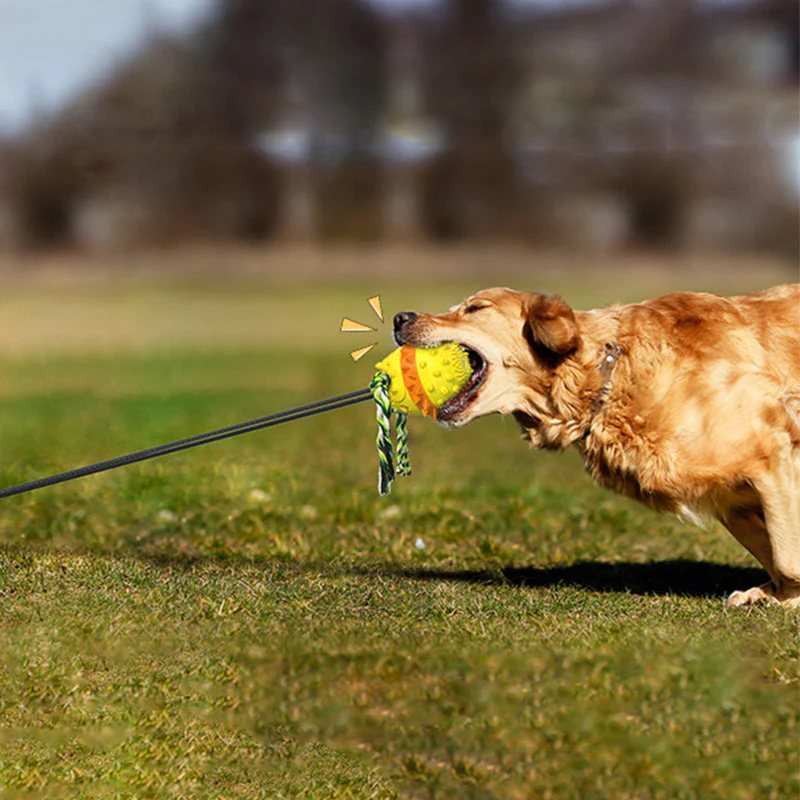 Pet Rope Ball Outdoor Training Toy - Image 6