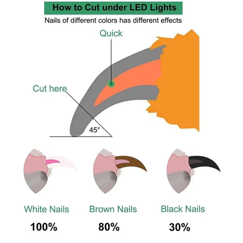 Professional LED Pet Nail Clippers - Image 3