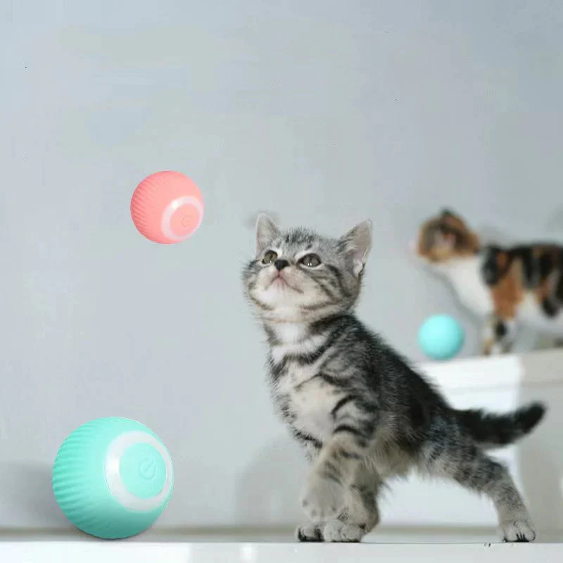 Smart Cat Interactive Ball Toys - Image 11