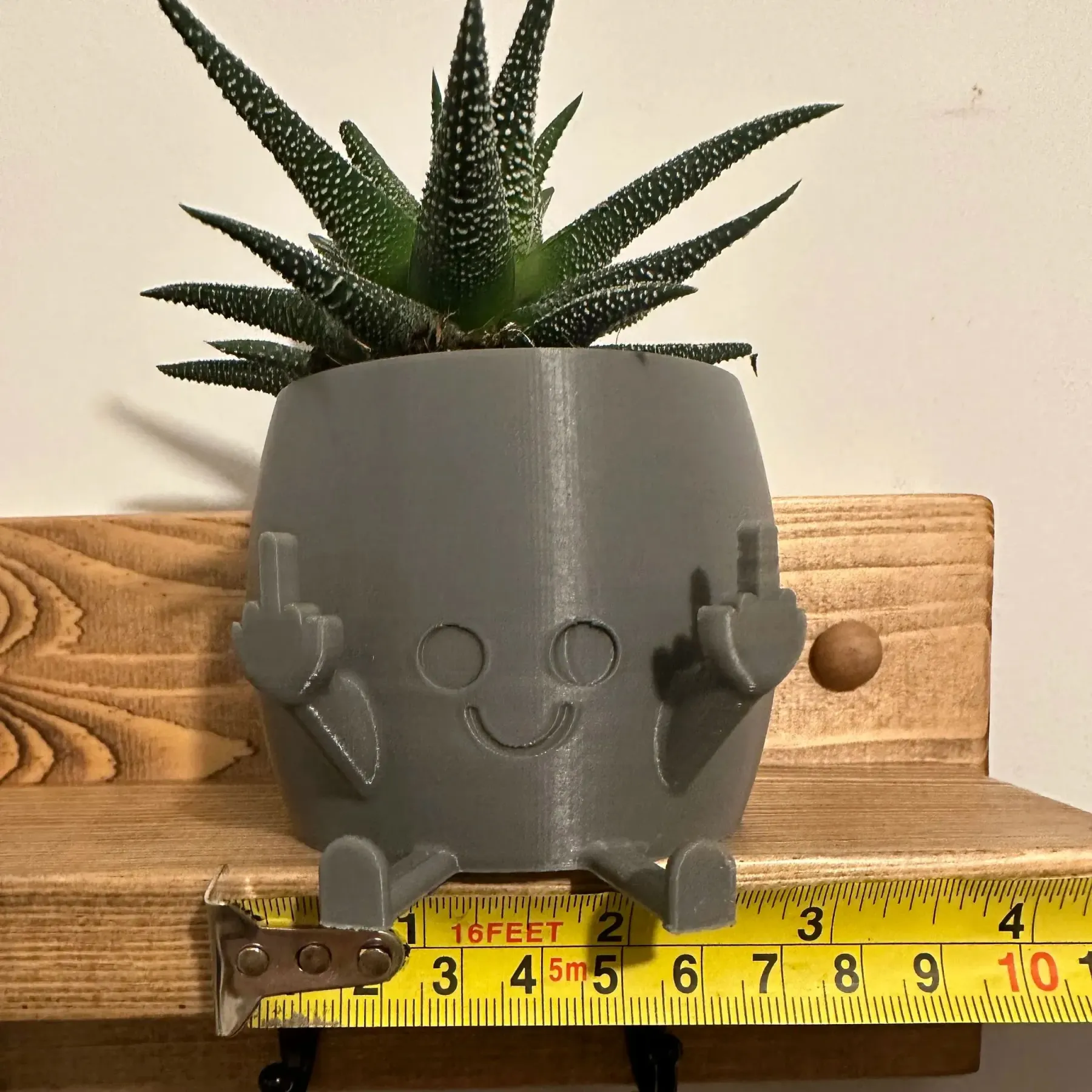 🤣Smiling Plant Pot with Middle Fingers Up - Image 2