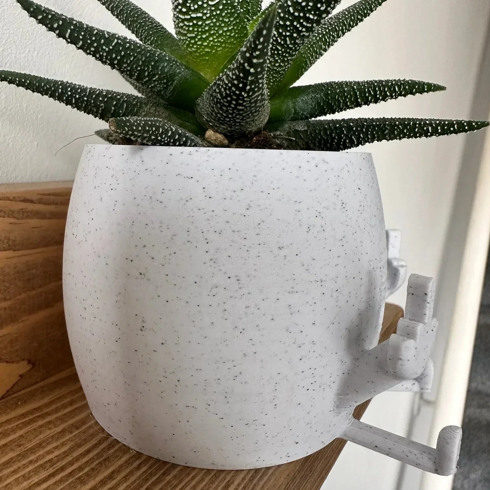 🤣Smiling Plant Pot with Middle Fingers Up - Image 3