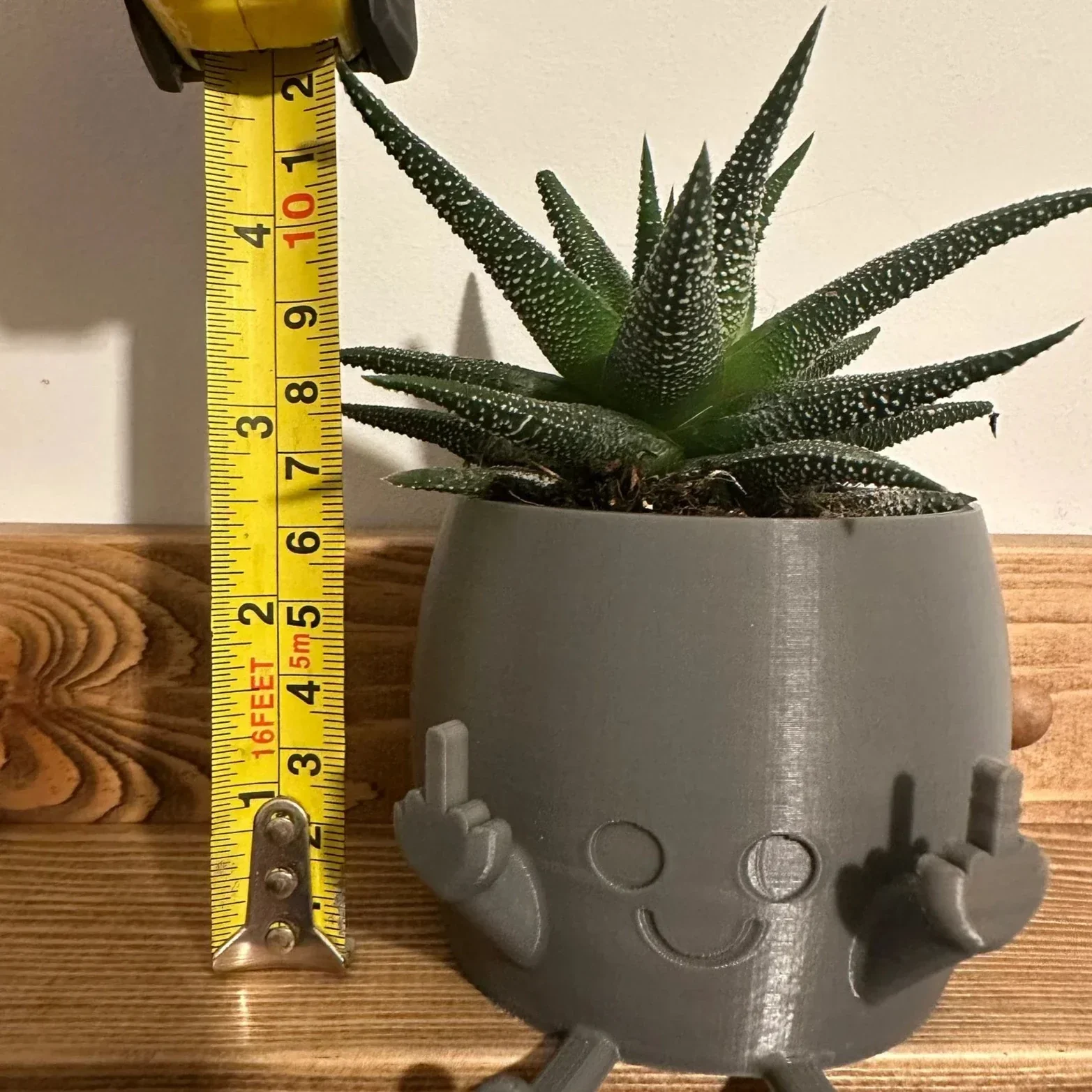 🤣Smiling Plant Pot with Middle Fingers Up - Image 4