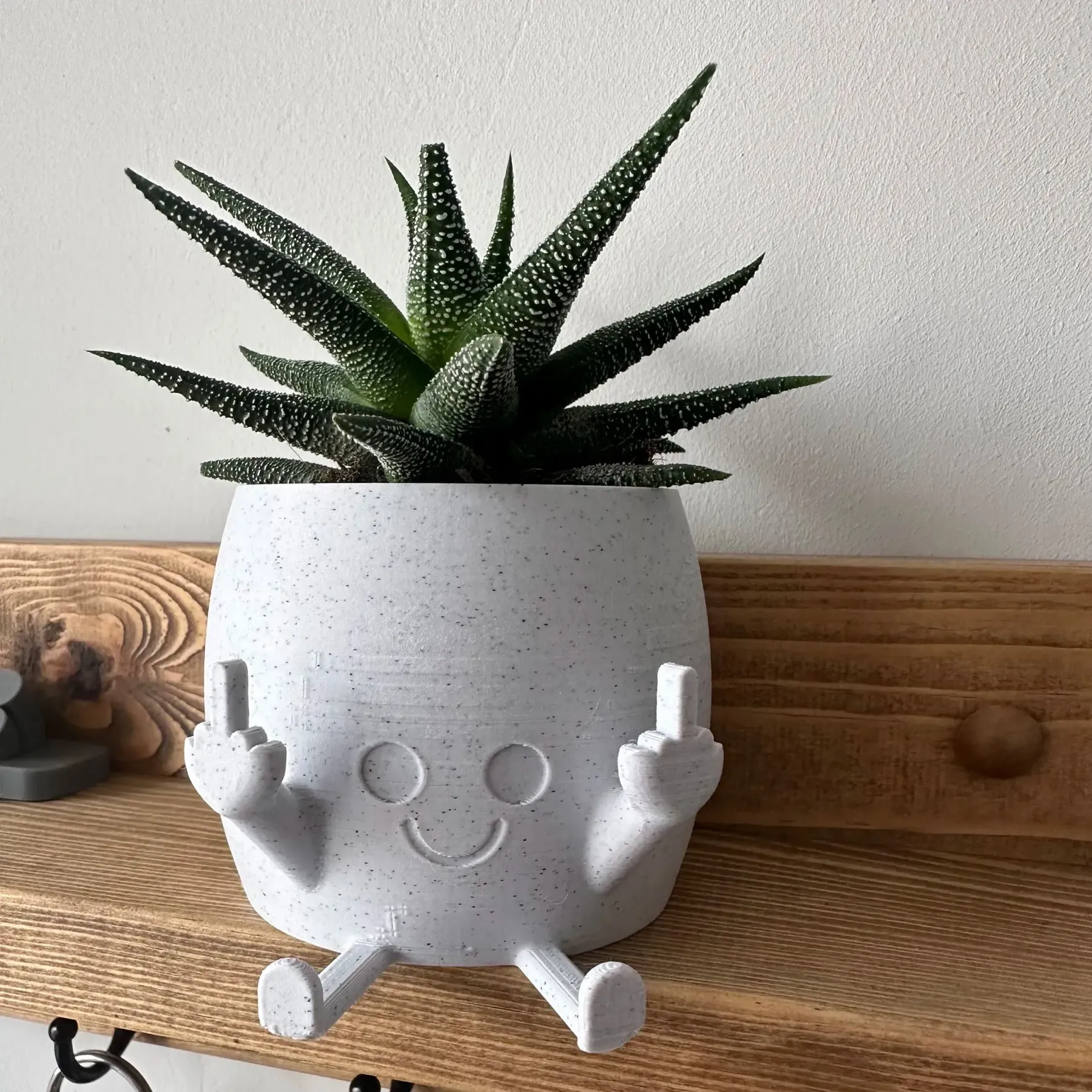 🤣Smiling Plant Pot with Middle Fingers Up - Image 5
