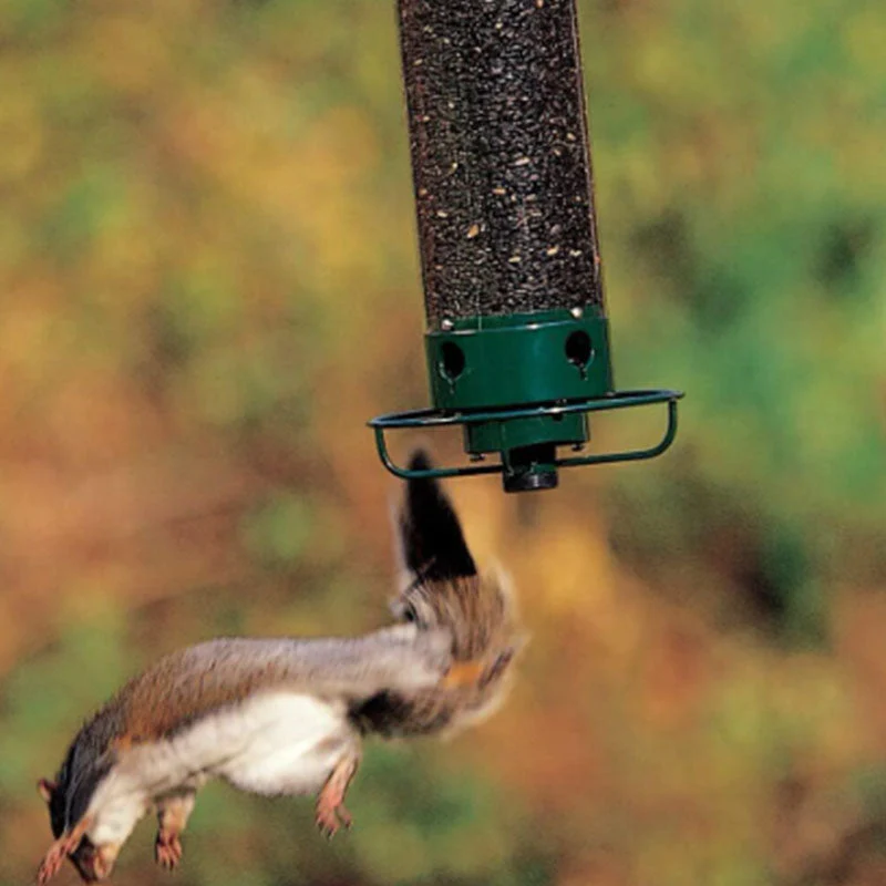 Squirrel-Proof Bird Feeder - Image 4