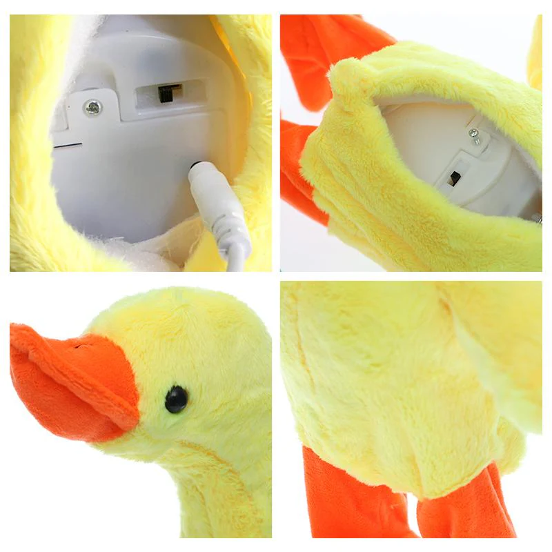 The Talking, Singing and Walking Duck - Image 4