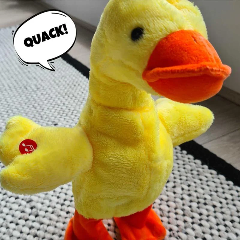 The Talking, Singing and Walking Duck - Image 5