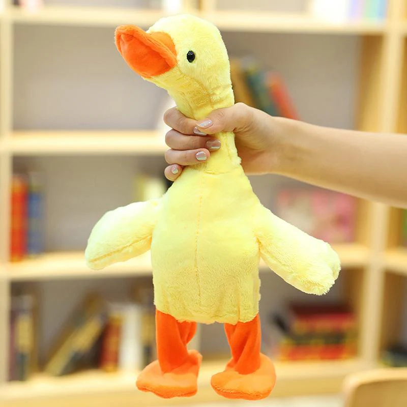 The Talking, Singing and Walking Duck - Image 6