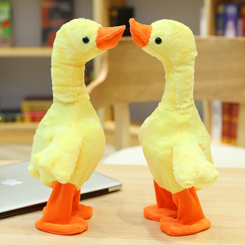 The Talking, Singing and Walking Duck - Image 7