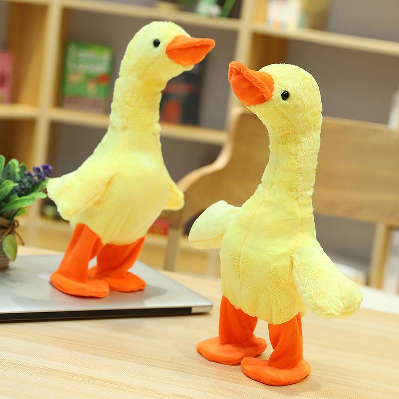The Talking, Singing and Walking Duck - Image 8