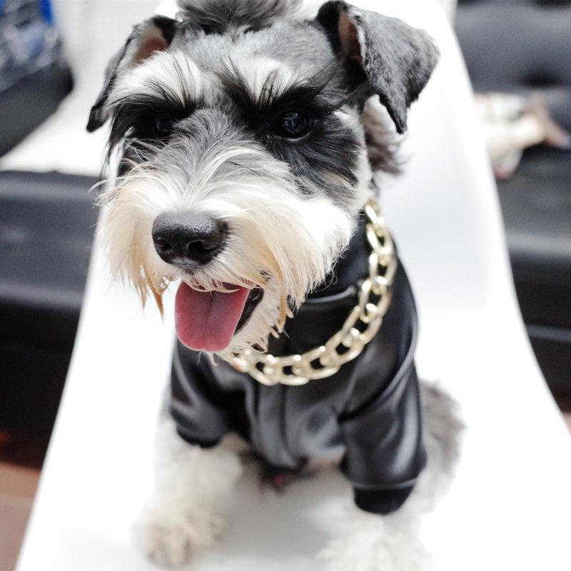 Thick Gold Chain Pets Safety Collar - Image 4