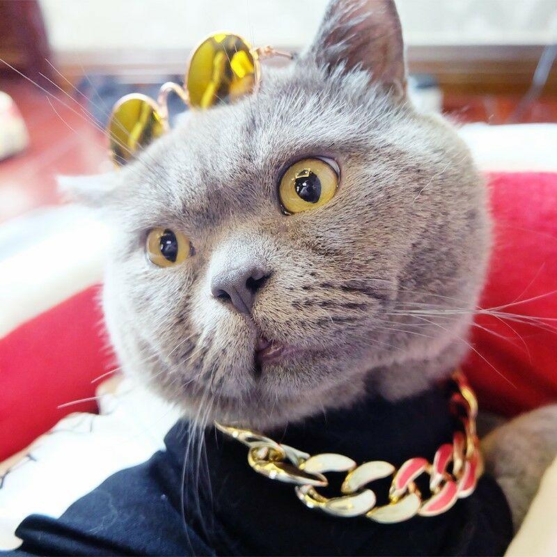 Thick Gold Chain Pets Safety Collar - Image 5