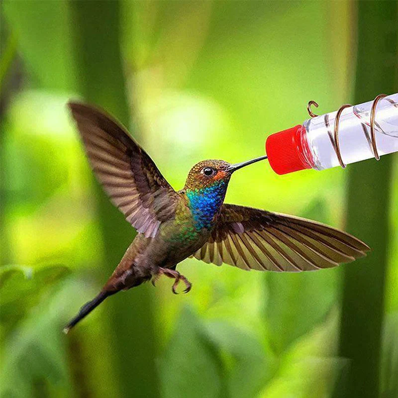 Window Hummingbird Feeder - Image 3